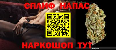 круглые Ставрополь