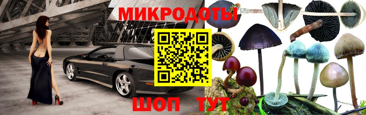 Галлюциногенные грибы Magic Shrooms  наркошоп  Нижнекамск  Псилоцибиновые грибы мухоморы  Вход с VPN 